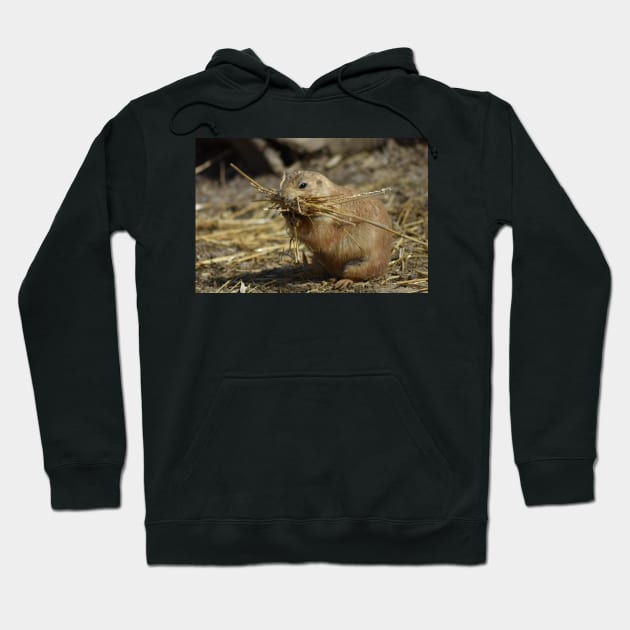 Prairie Dog Hoodie by MarieDarcy